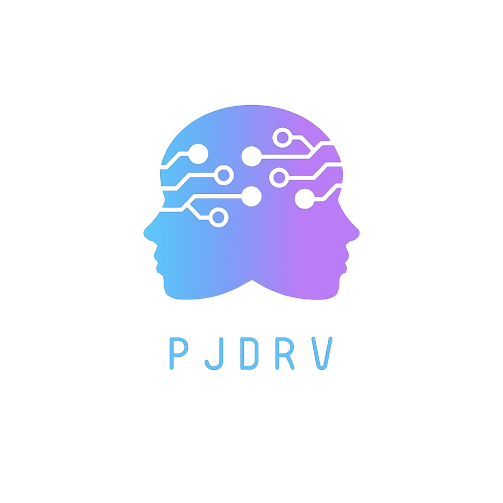 pjdrv.co Logo